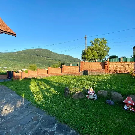 Mountain View * Polyana (Transcarpathia)