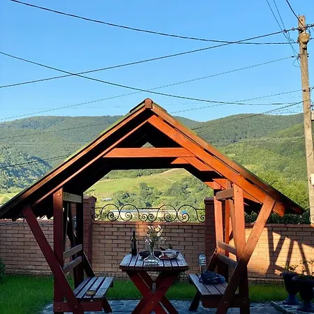Mountain View Polyana (Transcarpathia)